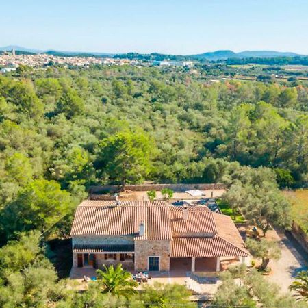 Finca Isabel Y Guillermo Con Posibilidad De Piscina Climatizada シネウ エクステリア 写真