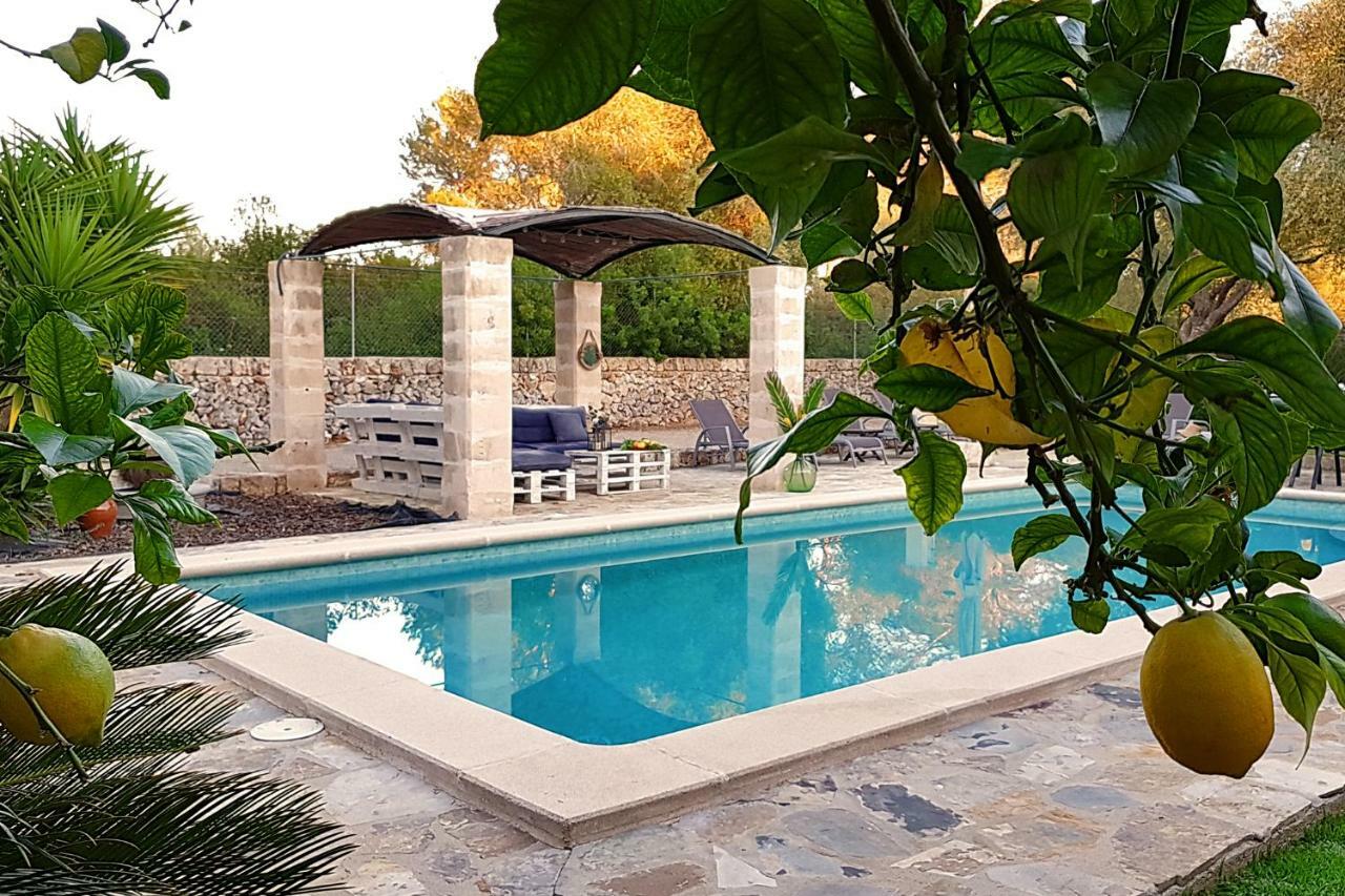 Finca Isabel Y Guillermo Con Posibilidad De Piscina Climatizada シネウ エクステリア 写真