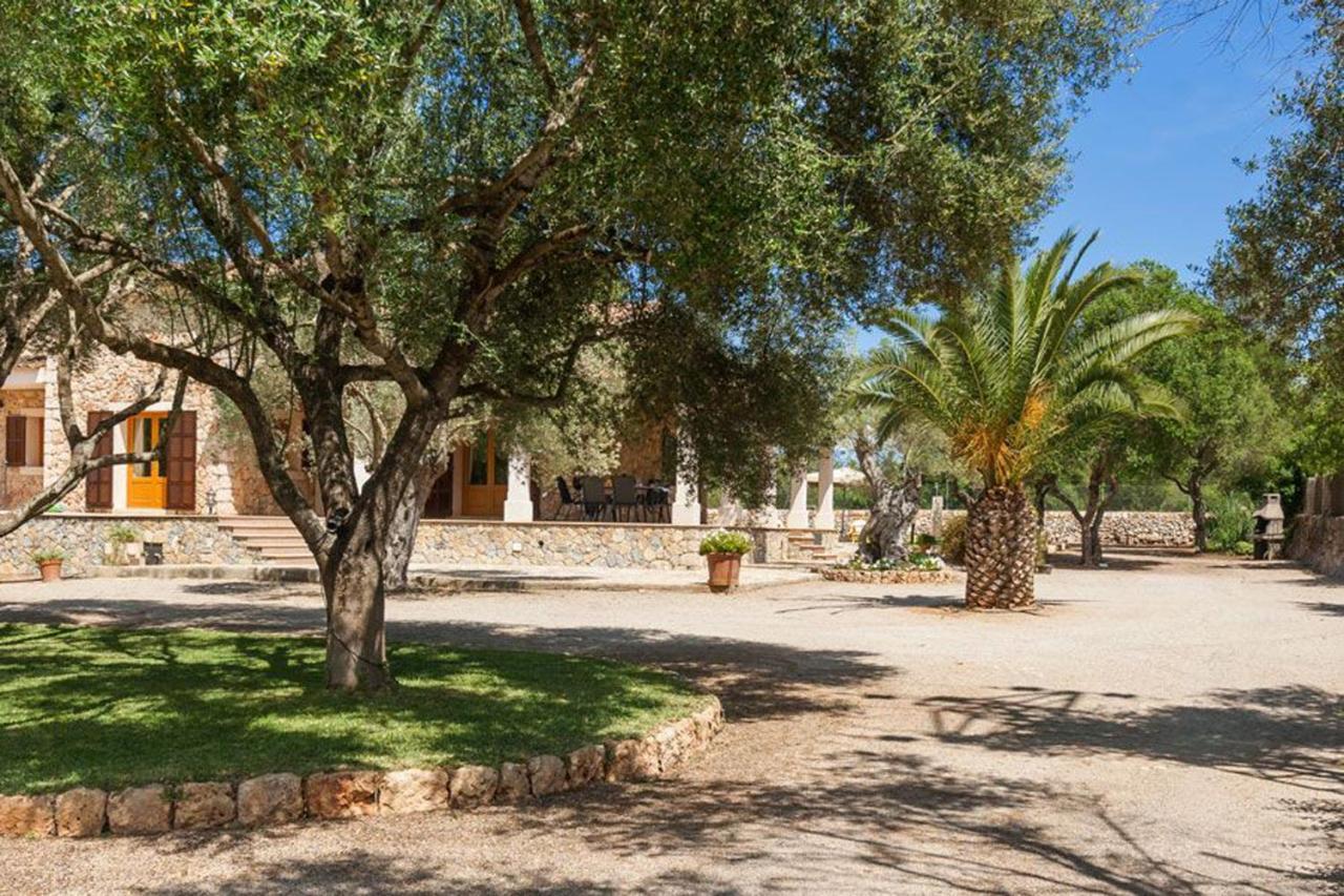 Finca Isabel Y Guillermo Con Posibilidad De Piscina Climatizada シネウ エクステリア 写真